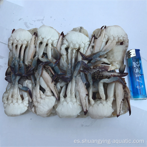 Zhoushan cangrejo azul natación congelada